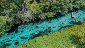 Flutuação Rio Sucuri em Bonito MS