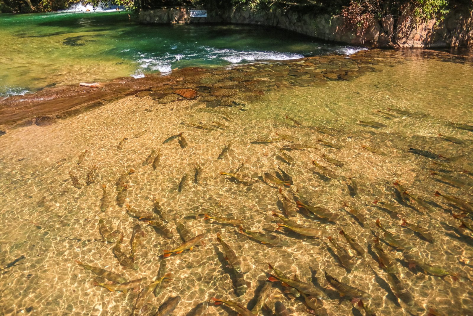 Balneário do Sol em Bonito MS