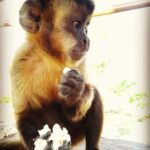 Bio Park Bonito MS