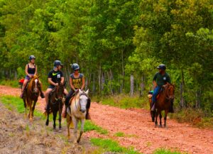 Cavalgada no Parque Ecológico Rio Formoso em Bonito MS