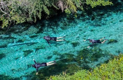 Visitantes realizando flutuação nas águas transparentes do Rio Sucuri em Bonito MS