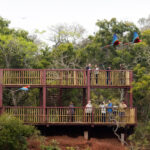 Buraco das Araras Bonito MS