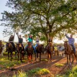 Galeria Cavalgada do Peão com Carreteiro - Imagem 3