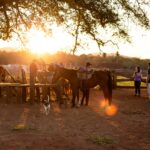 Galeria Cavalgada do Peão com Carreteiro - Imagem 4