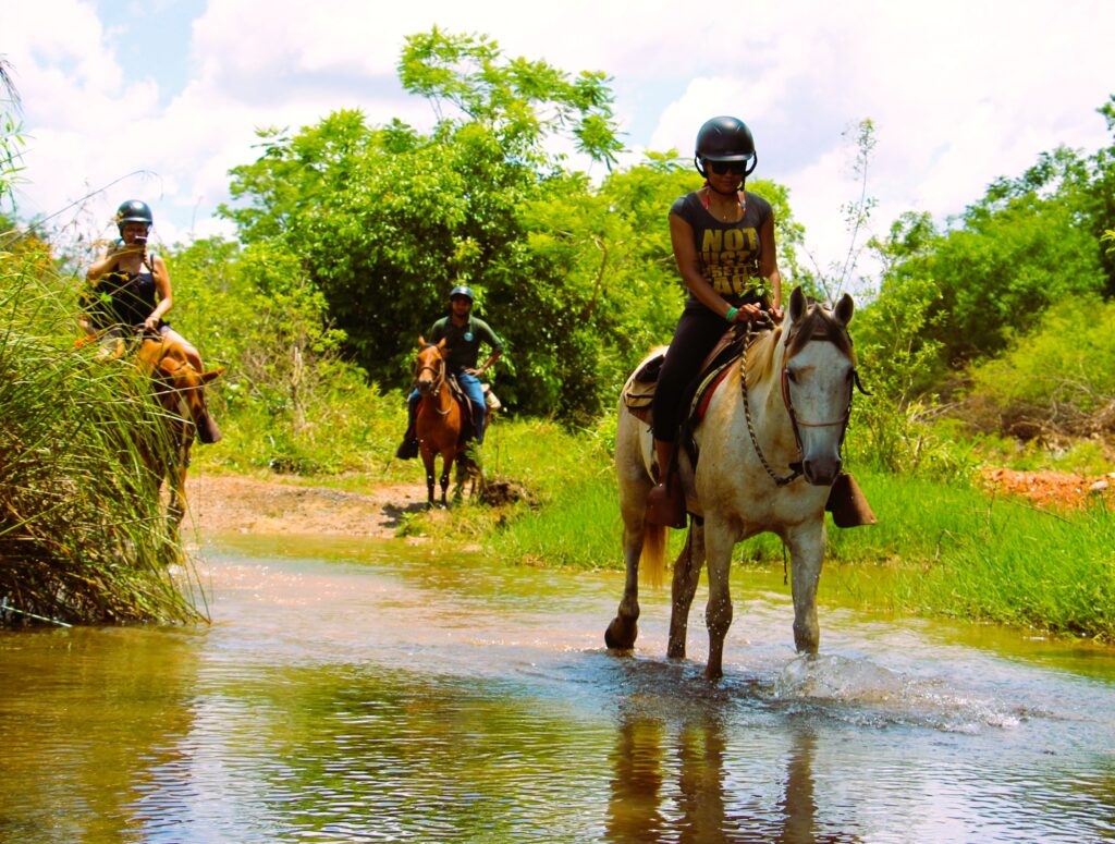 Galeria Cavalgada Parque Ecológico - Imagem 3