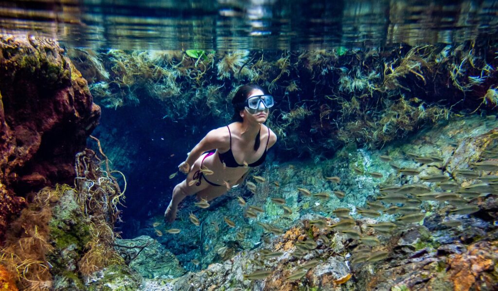 Galeria Ceita Corê Cachoeiras - Imagem 13