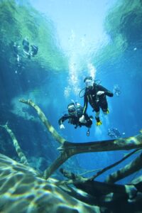 Lagoa Misteriosa Mergulho com Cilindro Jardim MS