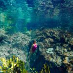 Flutuação Nascente Azul em Bonito MS