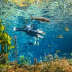 Flutuação Nascente Azul em Bonito MS