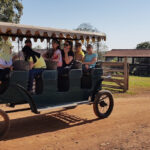 Galeria Pantanal Experiência Cheiros e Sabores - Imagem 1