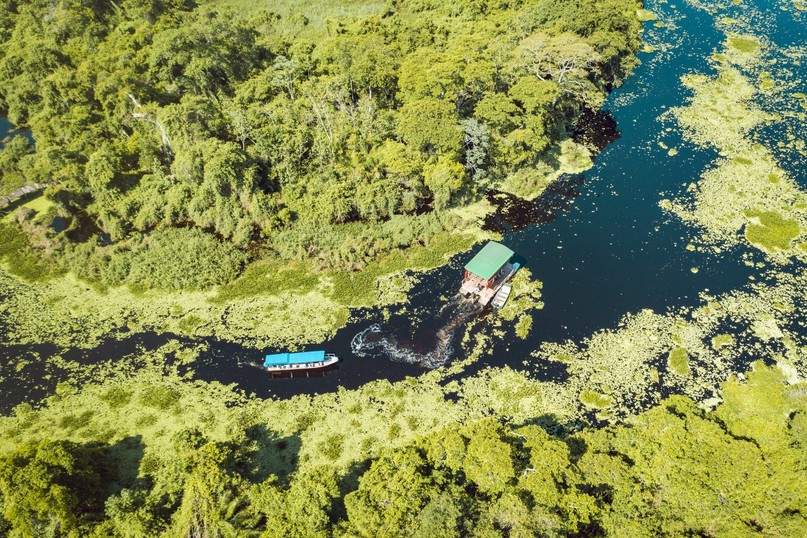 Passeio pela Fazenda San Francisco no Pantanal