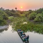 Galeria Projeto Salobra - Imagem 2