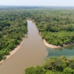 Galeria Projeto Salobra - Imagem 4