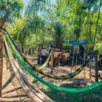 Galeria Pantanal Experiência Cheiros e Sabores - Imagem 4