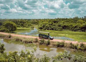 Pantanal Fazenda San Francisco