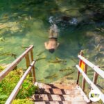 Cachoeiras Rio do Peixe Bonito MS