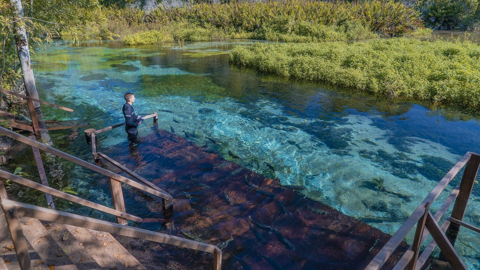 Flutuação no Rio Sucuri com água transparente e vegetação no fundo
