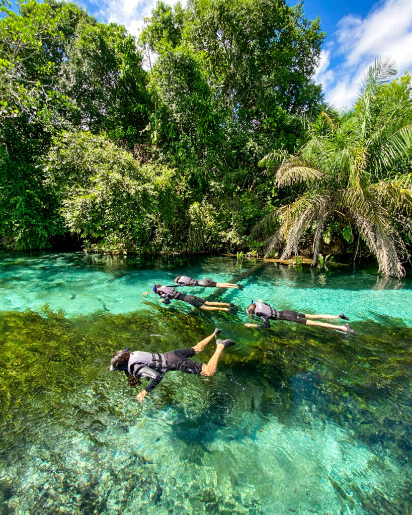 Flutuação Barra do Sucuri em Bonito MS