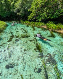 flutuacao-barra-do-sucuri-bonito-ms