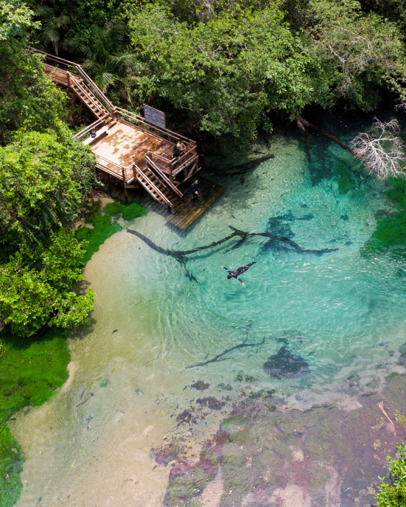 Flutuação Rio da Prata - Jardim e Bonito MS