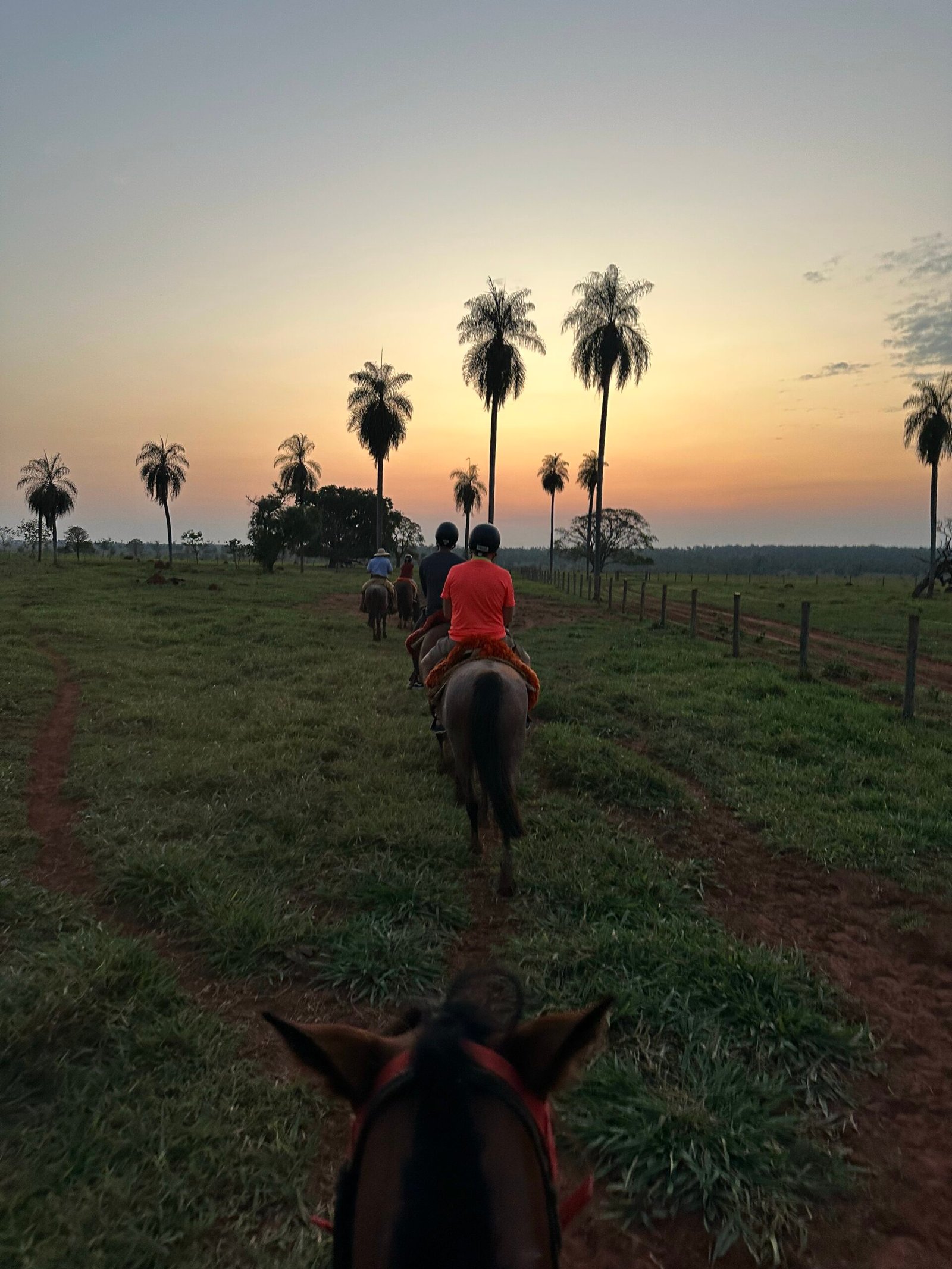 Passeio a cavalo no Rio da Prata