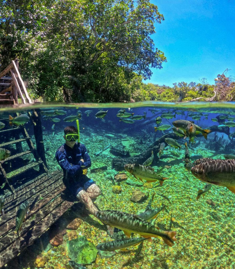 Flutuação Rio da Prata - Jardim e Bonito MS
