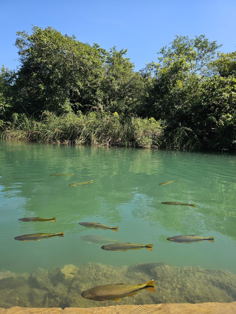 Balneário Municipal Bonito MS