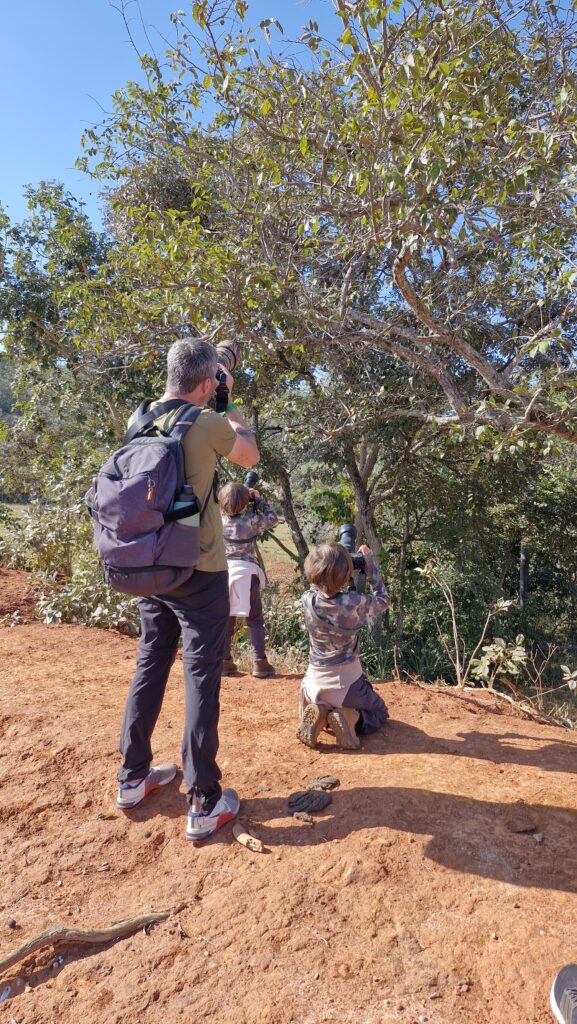 Atividade Observação de Aves no Rio da Prata MS
