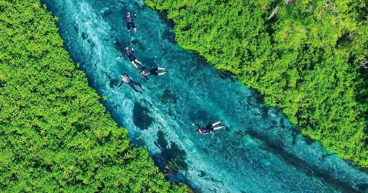 Bonito MS — paisagem de rio cristalino com vegetação da Serra da Bodoquena