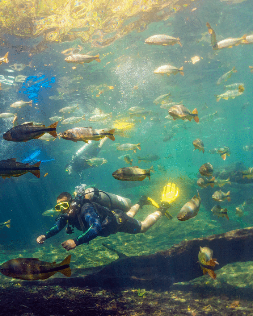 Mergulho com CIlindro Rio da Prata