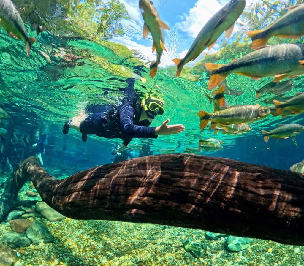 rio-da-prata-flutuacao-bonito-ms