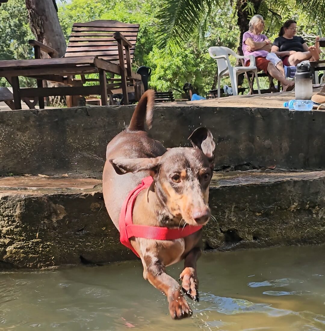 balneario-ilha-bonita-bonito-ms-pet-friendly