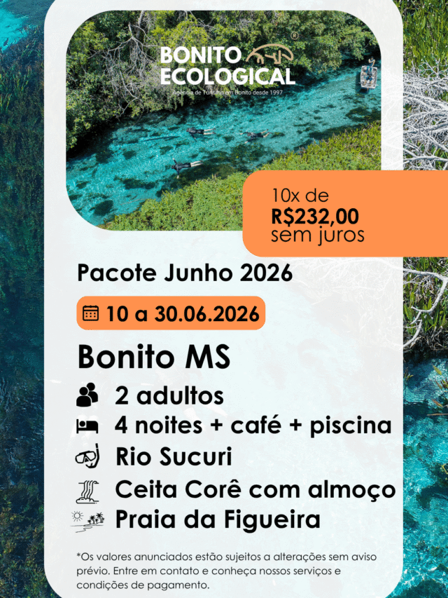 Pacote Junho 2026
