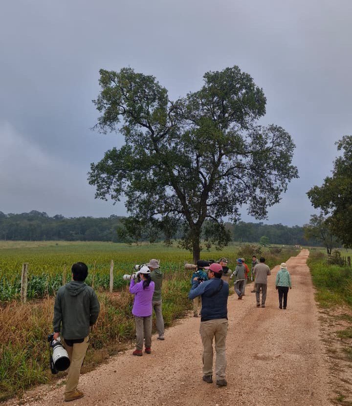 Grupo realizando observação de aves na Estância Mimosa, em Bonito MS