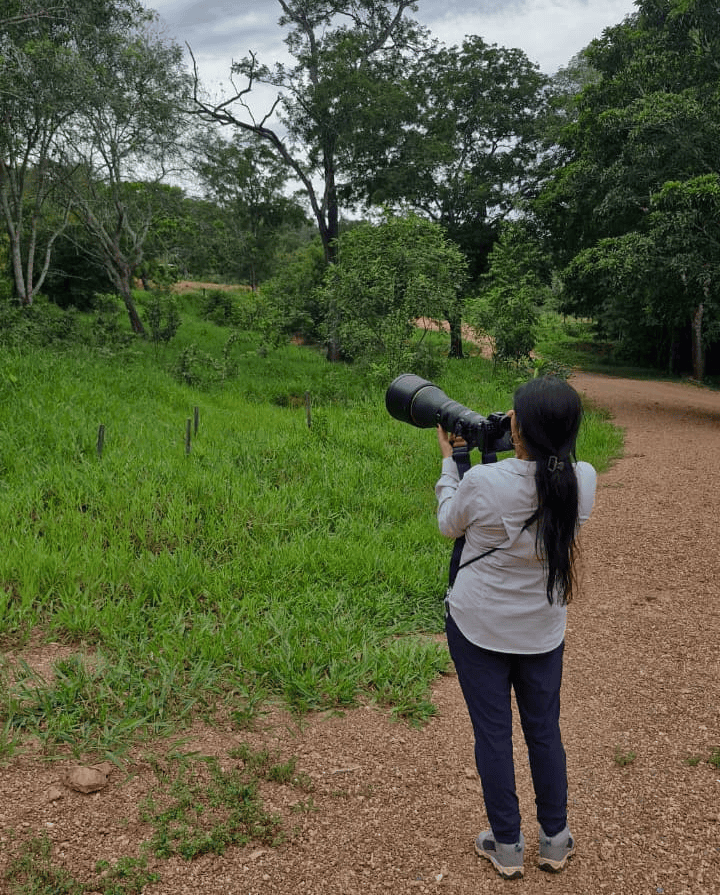 Observação de aves registrada por Cibele Manfredini