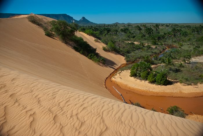 Dunas douradas do Parque Estadual do Jalapão no Tocantins