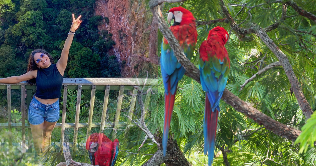 Turista no mirante do Buraco das Araras e araras-vermelhas em meio à vegetação