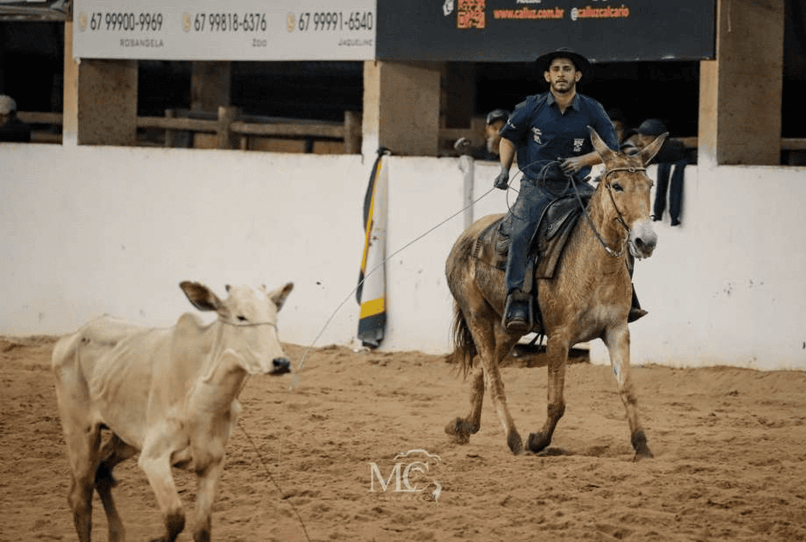 André Mesquita – Laço Comprido