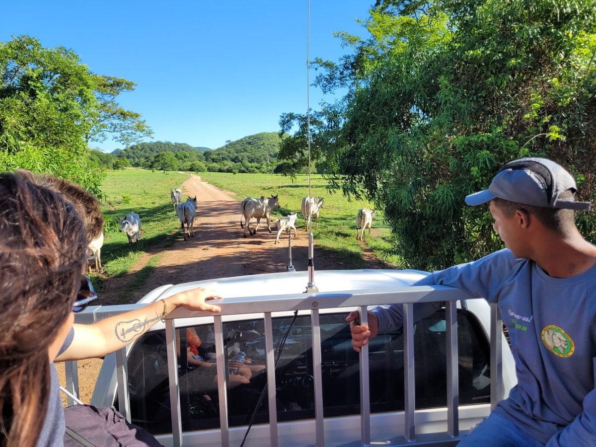 Guia de turismo acompanhando visitantes durante o trajeto da Boca da Onça
