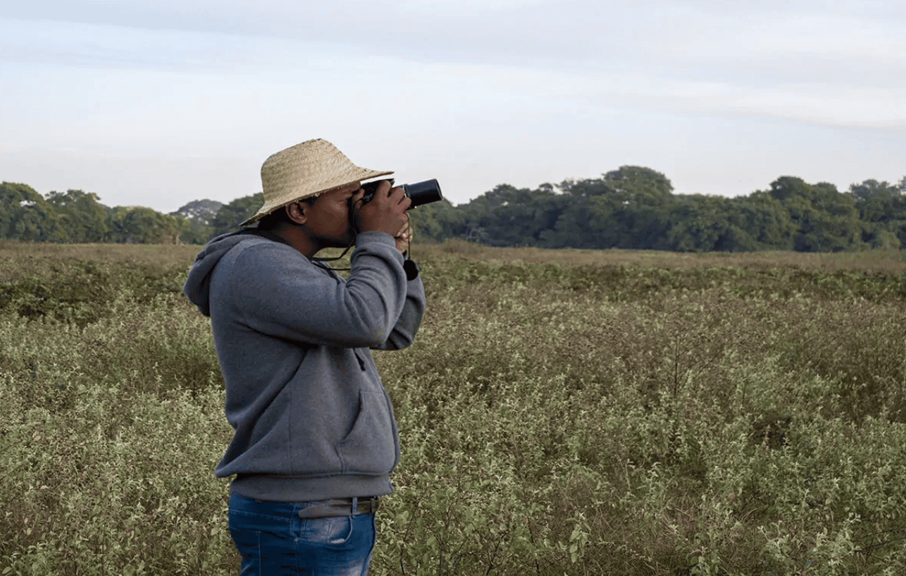 Observação de aves na Pousada Pequi
