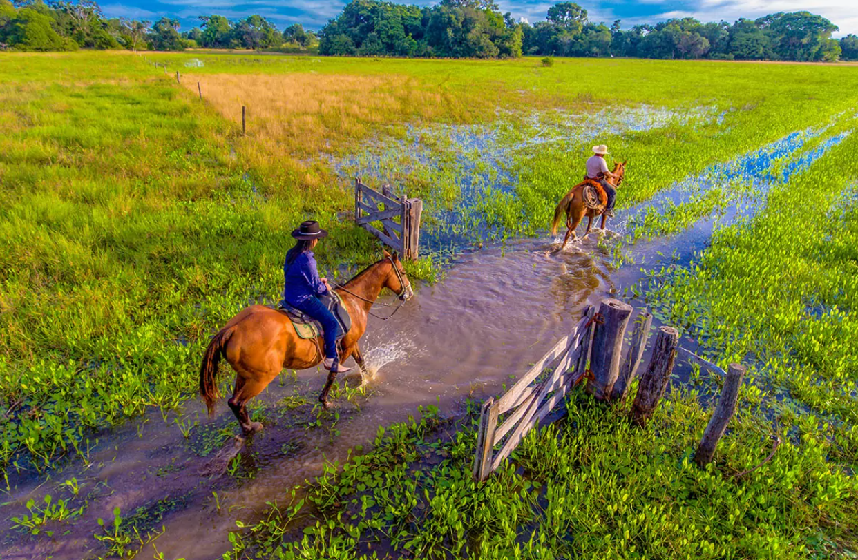 Cavalgada pantaneira na Fazenda Pequi