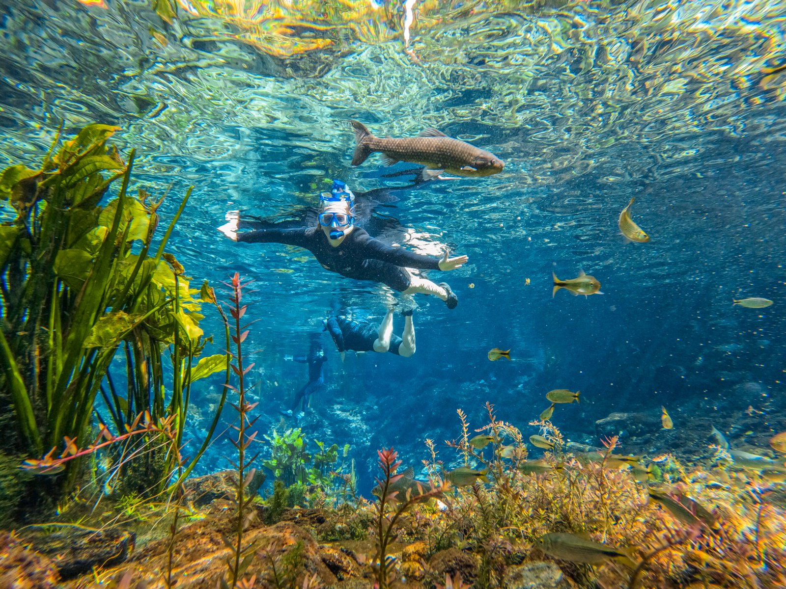 Flutuação na Nascente Azul em Bonito MS