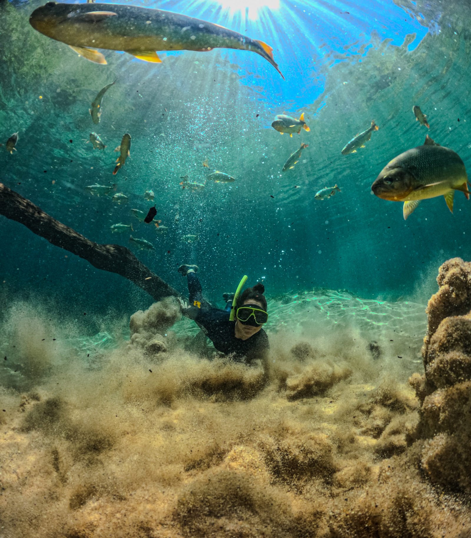 Peixes e água brotando na nascente durante a flutuação no Rio da Prata