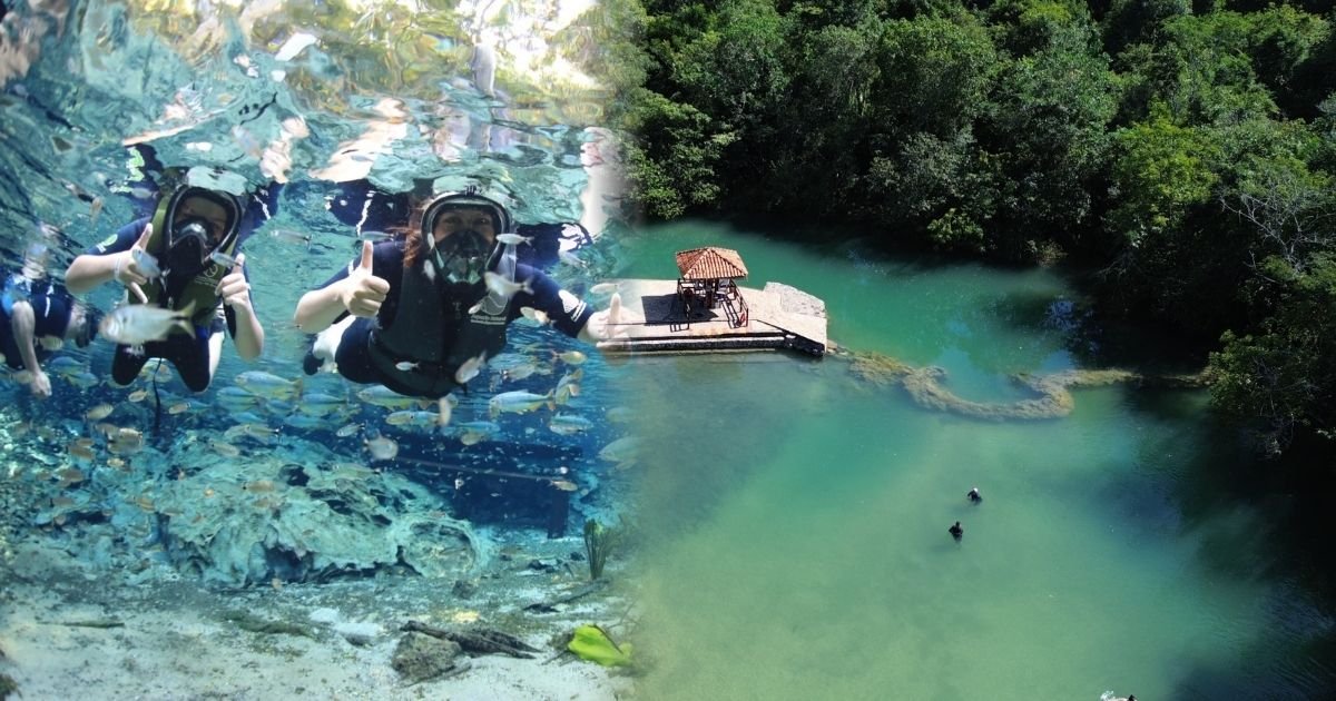 Flutuação no Aquário Natural e Balneário Municipal no mesmo dia em Bonito